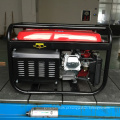 BISON CHINA TaiZhou 220v Mini portátil pequeno Home-Use Gasolina Power OHV Technic AVR Gerador